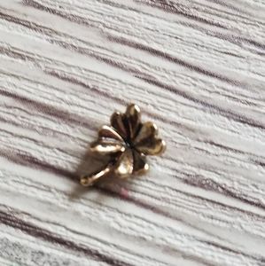 🦉CC Golden Clover Charm